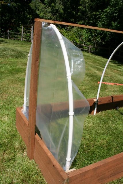 Raised Bed Greenhouse, Flower Tunnel, Homemade Greenhouse, Garden Cloche, Raised House, Mini Serre, Building Raised Beds, Diy Greenhouse Plans, Greenhouse Cover