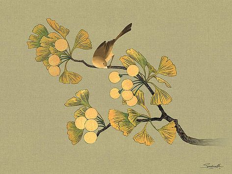 Bird in Ginkgo Tree by M Spadecaller Gingko Tree, Witchy Room, Ginkgo Tree, Elegant Artwork, Japan Painting, Rare Birds, Tree Drawing, Tree Tattoo, Iconic Brands