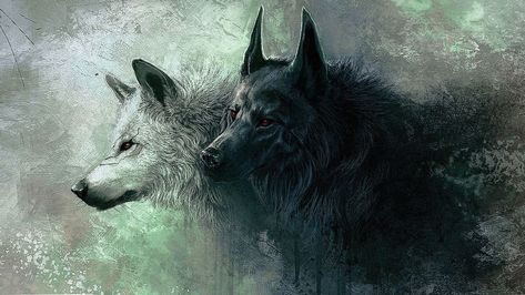 HD Wallpapers 1366x768 Wolf 1366x768 Wallpaper Hd, Angry Wolf, Wolf Background, Beast Wallpaper, Wolf Artwork, Two Wolves, Fantasy Wolf, Cartoon Dragon, Wallpapers Android