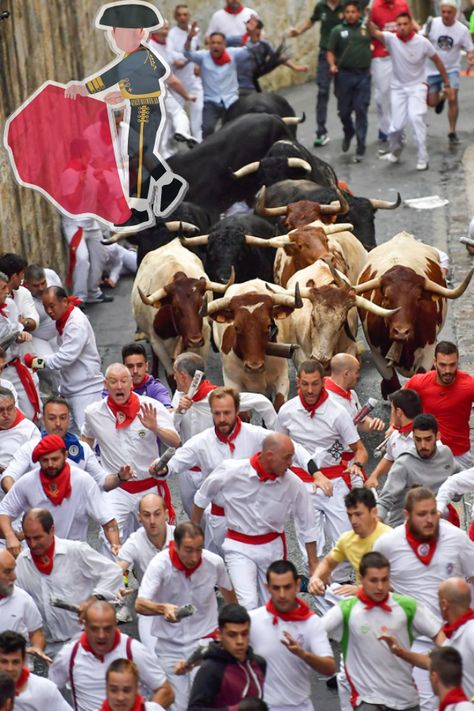 The highlight of the festival is the daily bull run, where participants run through the narrow streets of the town with a pack of bulls chasing them. The event lasts for just a few minutes but draws thousands of tourists from around the world. The festival also includes traditional events such as the opening ceremony, bullfights, fireworks, and music concerts. Despite its popularity, the event has been criticized for animal cruelty and safety concerns for both participants and bulls. Bull Running, Pamplona Spain, Running Of The Bulls, Minimal Drawings, Bull Run, Run Through, Cultural Celebration, Festival Celebration, Pamplona