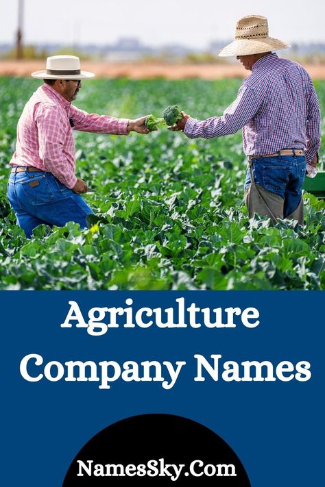 Do you own an agriculture company but do not know how to name your agriculture business? Then this article is just for you. Here, you will get to know everything about naming, for instance, how to create Agriculture Company Names, how to make them look more attractive, etc. @wishgreenhouse @agfoundation @agriculture @farmingmyyard @thistledownsfarm Agriculture Business, Business Name Ideas, Look More Attractive, Farming Business, Names Ideas, Name Ideas, New Names, Business Names, Getting To Know