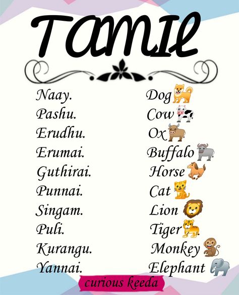 English to Tamil, animals name
Follow for more ideas How To Learn Tamil Language, Exercise For Face Glow, Tamil Alphabet Chart, Learn Tamil Language, Tamil Language Learning, Animals Name With Picture, Tamil Alphabets, Tamil Learning, Learn Tamil