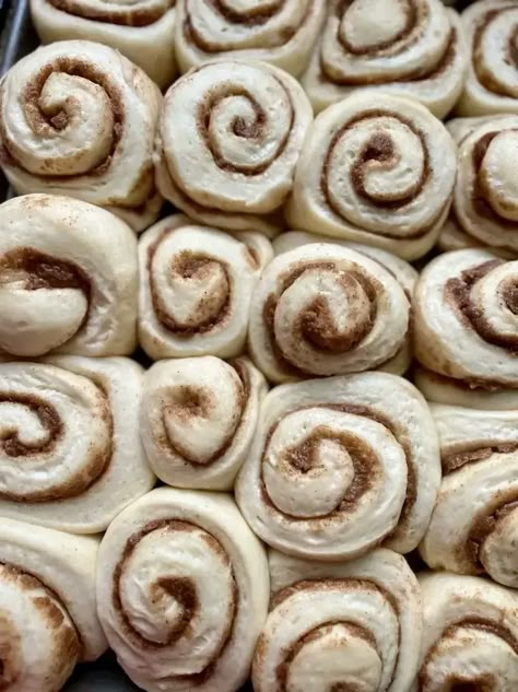 Cinnamon Buns Freezer, Freeze Cinnamon Roll Dough, How To Freeze Cinnamon Rolls, Sourdough Cinnamon Rolls Freezer, Make Ahead And Freeze Cinnamon Rolls, Freezing Cinnamon Rolls, Freezer Cinnamon Rolls Recipe, Freezing Cinnamon Rolls Before Baking, Freezer Cinnamon Rolls