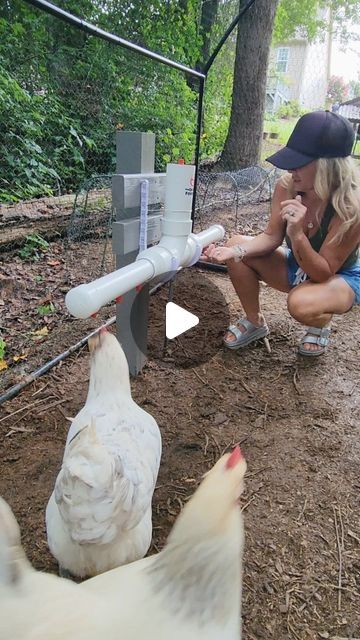 Chicken Coop Watering System, Homemade Chicken Waterer, Diy Chicken Waterer, Katie Williams, Chicken Watering System, Chicken Waterer Diy, Training Chickens, Chickens In The Winter, Chicken Waterer