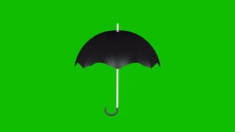 Umbrella Cartoon, Black Umbrella, Cartoon Pics, Green Screen, 3d Animation, Stock Video, A Black, Umbrella, Screen