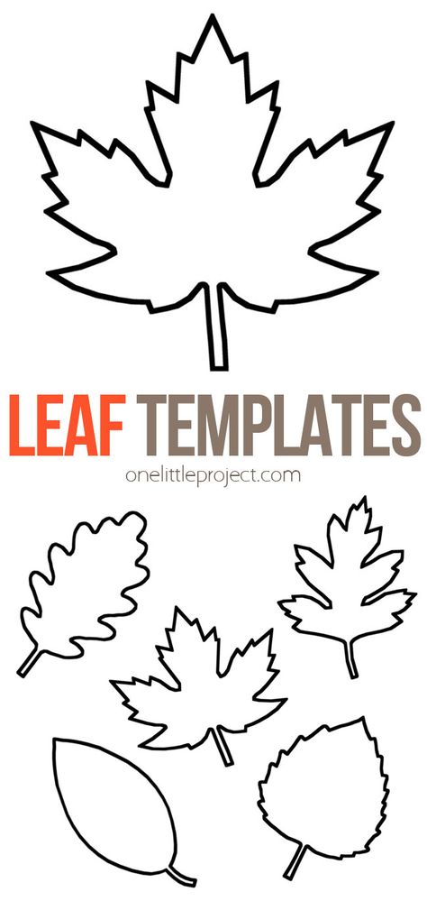 More than 20 free printable fall leaf template pages to use for fall crafts and activities. Use the leaf outline as a pattern or stencil, or color and decorate them. Great leaf shapes to use for kids crafts! Fall Art Projects For Preschoolers, Leaf Man Craft, Fall Leaves Template Free Printable, Leaf Template Free, Autumnal Crafts, Leaves Template Free Printable, Leaf Template Printable, Fall Leaf Template, Leaf Templates