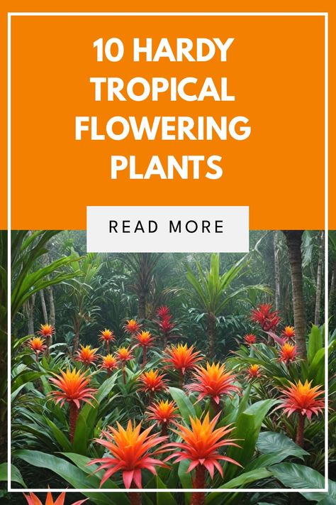 Succulent Tropical Garden, Colourful Tropical Plants, Birds Of Paradise In Pots, Tropical Garden In Cold Climate, Frangipani Garden Design, Tropical Potted Plants Outdoor, Tropical Landscaping Plants, Hardy Tropical Landscaping, Lush Tropical Landscape