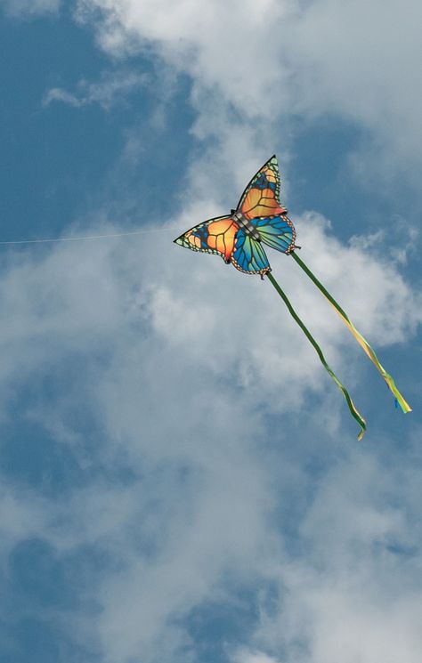 The tails may be necessary for stable flight when the wind picks up a bit - but otherwise this Butterfly kite is a beautiful example of realism in creature kites. T.P. (my-best-kite.com) "My favorite kite" Cropped from a photo by Rocky Baker on Flickr. Kites Aesthetic, Kite Making Ideas For Competition, Kite Designs Ideas, Kite Aesthetic, Kite Photo, Butterfly Kite, Kite Shop, Flying A Kite, Flying Kites