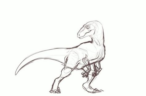 Dino Drawing, Raptor Dinosaur, Dinosaur Sketch, Dinosaur Drawing, Dinosaur Illustration, Jurassic World Dinosaurs, Paleo Art, Creature Drawings, Monster Concept Art