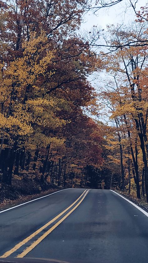 Fall drives in the upper peninsula of michigan. 🍂 #fall #autumn #falldrives #roadtrip #michigan #up #upperpeninsula Michigan Fall, Fall Night, Autumn Drives, Upper Peninsula, Fall Autumn, Michigan, Road Trip, Country Roads, Road