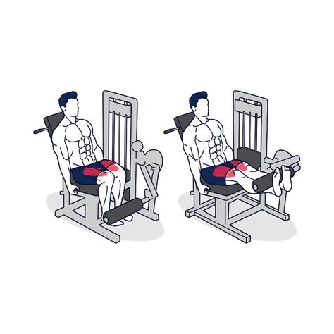 Seated Hip Abduction, Calve Raises, Abduction Machine, Squat Barbell, Hip Abduction Machine, Leg Extensions Workout, Pull Day, Leg Curl Machine, Lying Leg Curls