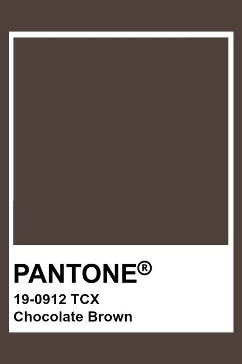 Pantone Chocolate Brown, Shades Of Brown Pantone, Brown Pantone Palette, Pantone Colors Brown, Pantone Brown Shades, Brown Color Swatch, Dark Brown Pantone, Brown Pantone Color, Chocolate Brown Color Palette