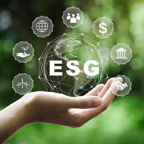 esg data analytics Sustainability Consulting, Primary Activities, Business Performance, Pole Star, Green Business, Green Technology, Service Learning, Sustainable Business, Circular Economy