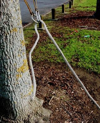 Arborist Climbing Trees, Tree Climbing Equipment, Tree Removal Cost, Tree Climbing Rope, Arborist Climbing, Climbing Technique, Climbing Knots, 1000 Lifehacks, Rope Climb