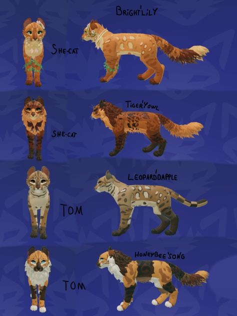 Wcue Morph Ideas Non Cat, Wcue Morph Ideas Brown, Roblox Warrior Cats Morphs, Wcue Morph Ideas Calico, Warrior Cat Oc Ideas Wcue, Warrior Cats Ultimate Edition Morph Ideas, Wcue Oc Idea, Warrior Cats Oc Design Roblox Ideas, Morph Ideas Warrior Cats