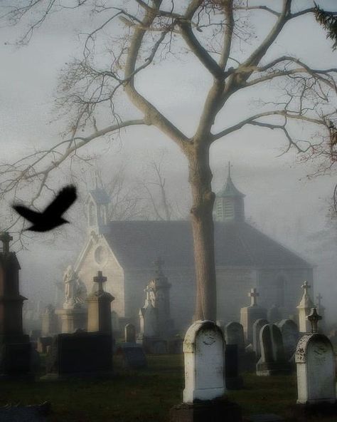 Embrace the haunting beauty of forgotten places. 🌫️🏚️ #Haunting #Cemetery #Eerie #Foggy #Gothic #DarkAesthetic #Mystical #Abandoned #Graveyard #Mysterious #DarkArt Gothic Graveyard, Ios 16 Wallpaper, Ghost Sightings, Haunting Beauty, Halloween 4, Forgotten Places, Ghost Pictures, The Haunting, Ios 16