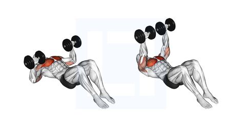 Dumbbell Floor Press, Floor Chest Press, Bench Press Muscles Worked, Workouts To Build Muscle, Dumbbell Upright Row, Best Dumbbell Exercises, Dumbbell Workouts, Dumbbell Exercises, Squat Variations