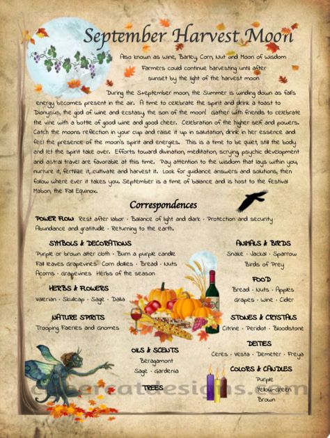 September Full Moon | Book of Shadows September Correspondences, September Full Moon, Witch Holidays, September Magick, Magickal Correspondences, Moon Facts, Cold Moon, Lunar Magic, Moon Magick