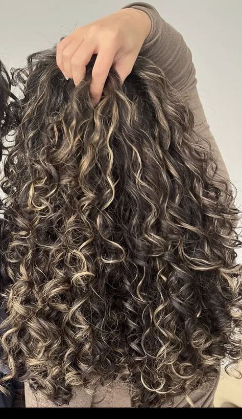 Cute Highlights For Curly Hair, Hair Colours Curly Hair, Oreo Hair On Curly Hair, Curly Hair Inspiration Color, Highlights On Wavy Curly Hair, Black With Blonde Highlights Curly Hair, Y2k Highlights Curly Hair, Half Head Pintura Highlights Curly Hair, Ash Brown Curly Hair Natural