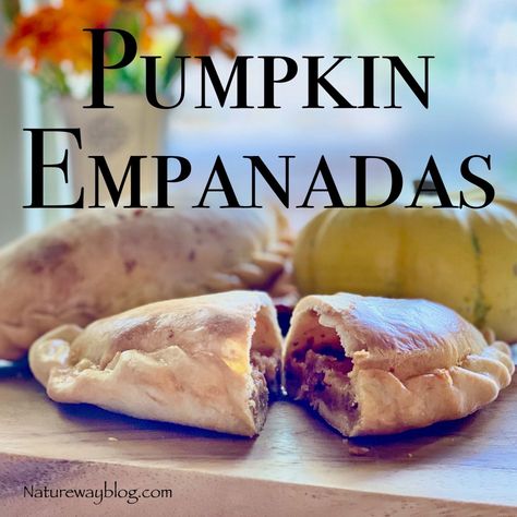 Baked Pumpkin Empanadas; An Authentic, Crave Worthy, Mexican Delicacy Mexican Empanadas, Vegetarian Empanadas, Pumpkin Empanadas, Snack Treat, Best Pumpkin, Traditional Mexican, Baked Pumpkin, Breakfast Brunch Recipes, Family Favorite Meals