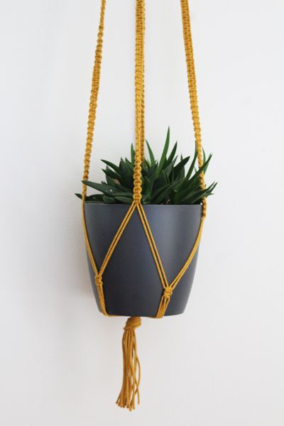 Hoe Maak je een Macramé Plantenhanger? Door Handle Diy, Makramee Diy, Diy Macrame Plant Hanger, Macrame Plant Holder, Macrame Hanger, Plant Decor Indoor, Macrame Plant Hangers, Diy Crafts To Do, Macrame Projects