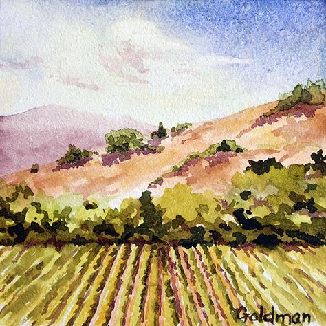 Buellton Vineyard Painting by Nancy Goldman - Buellton Vineyard Fine Art Prints and Posters for Sale Vineyard Watercolor, Vineyard Painting, Landscape Composition, Vineyard Art, Watercolor Barns, Art Painting Watercolor, Grapes Wine, Wine Vineyards, French Paintings