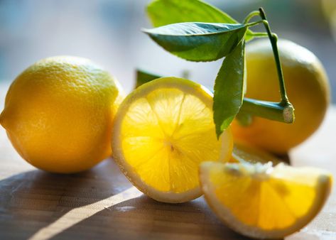 Jus Lemon, Air Lemon, Making Limoncello, Lemon Health Benefits, Drinking Lemon Water, Penyakit Jantung, Lemon Benefits, Ice Cream Floats, Lemon Tree