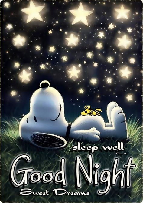 Snoopy is awesome | 🖤🌾👀✨🖤🌾👀✨🌾🖤 | Facebook Snoopy Good Night Sweet Dreams, Good Night Humor, Good Night Gifs, Goodnight Snoopy Sweet Dreams, Snoopy Good Night, Snoopy Sleep, Funny Good Night Pictures, Funny Good Night Memes, Funny Good Night Quotes