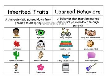 inherited and learned behaviors - Quizizz Inherited Traits And Learned Behaviors, Dragonfly Life Cycle, Inherited Traits, Science Reading, Learned Behaviors, 5th Grade Classroom, Free Math Worksheets, Early Math, Stem Science