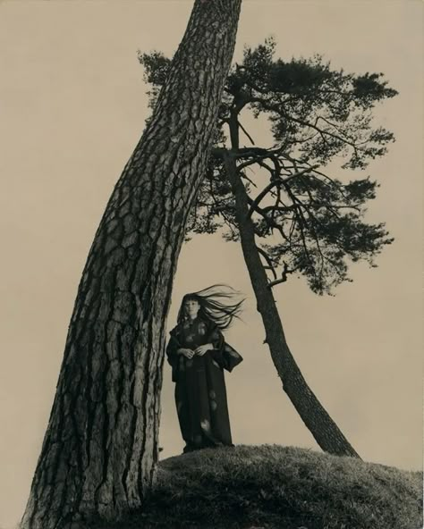 Blowing In The Wind, Cinematic Photography, 영감을 주는 캐릭터, Photo Reference, Photography Inspo, Art Reference Photos, Black And White Photography, Cinematography, A Tree