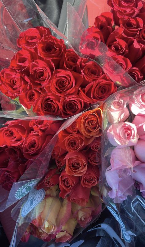 Dozen Of Roses, Rosé Summer, Dozen Roses, Birthday Gift Baskets, Lucky Girl, Womens Basketball, Gift Baskets, Little Things, Life Is Good