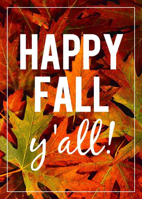 The first official day of fall is this Friday. What does this mean for us Phoenicians? Only a few more weeks until we can turn down the AC. First Day Of Autumn, Autumnal Equinox, First Day Of Fall, Autumn Quotes, Fabulous Fall, Happy Fall Y'all, Harvest Moon, Autumn Beauty, Seasons Of The Year