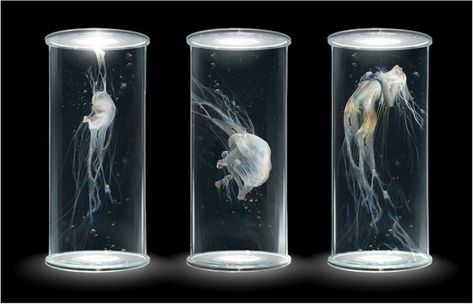 Evolution Artwork, First Humans, Cyberpunk Art, Futuristic Technology, 판타지 아트, Test Tube, Sci Fi Art, 그림 그리기, Jellyfish