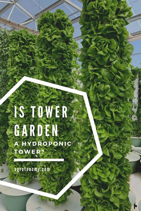 Aeroponic Gardening, Hydroponic Tower, Vertical Hydroponics, Vertical Growing, Home Hydroponics, Aeroponic System, Restricted Area, Commercial Farming, Farming Techniques