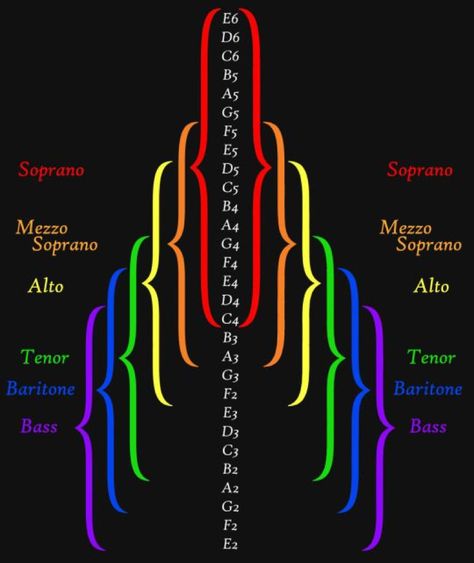 Vocal Range Classification Music Theory Lessons, Singing Techniques, Learn Singing, Vocal Lessons, Music Theory Guitar, Not Musik, Single Travel, Music Writing, Vocal Range