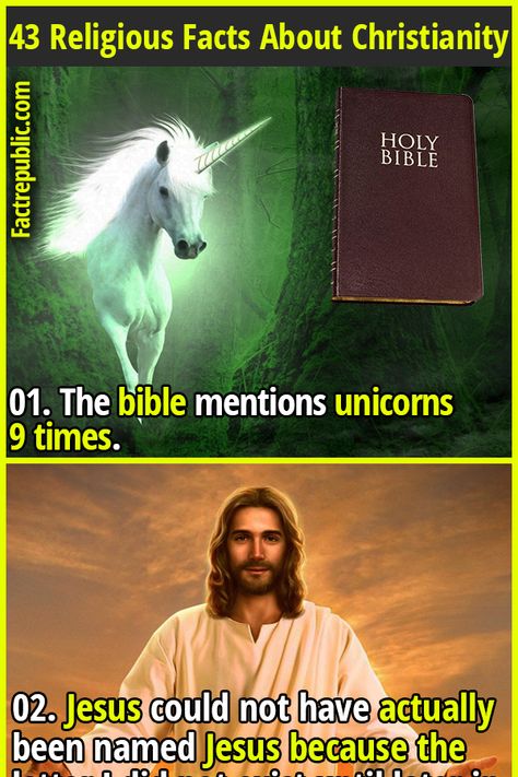 Atheism Humor, Epic Facts, Jesus Book, Fact Republic, Bible Humor, Muslim Family, Keep The Peace, Bible Motivation, Bible Facts