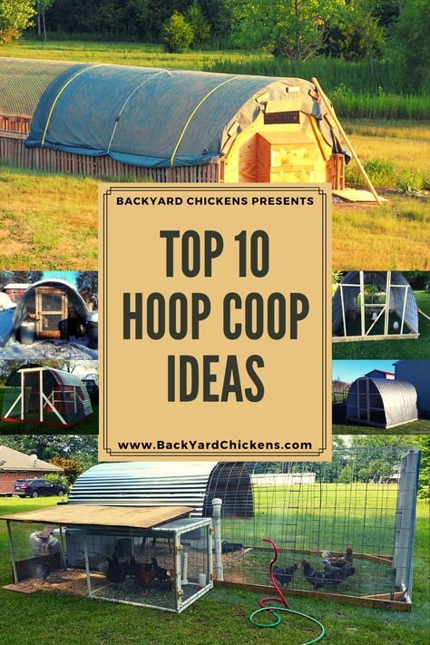 Circular Chicken Coop, Hoop House For Chickens, Chicken Coop With Hoop Run, Diy Hoop Chicken Coop, Hoop House Chicken Run, Hoop Coop With Nesting Boxes, Alternative Chicken Coop Ideas, Large Diy Chicken Coop, Hoop Chicken Run