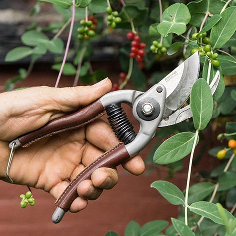 Woodworking Shows, Lawn Service, Garden Shears, Plant Propagation, Belt Holster, Grow Bags, Garden Care, Forged Steel, Easy Garden