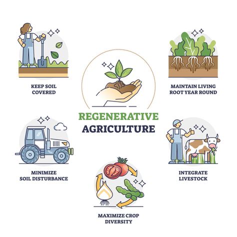 Regenerative Agriculture Design, Organic Farming Poster, Agriculture Illustration, Agriculture Poster, Poster Drawing Ideas, Importance Of Agriculture, Eco Technology, Agriculture Projects, Regenerative Farming