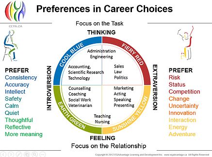 Insights Discovery: career choices Cucumber Bites Appetizers, Insights Discovery, Personality Assessment, Cucumber Bites, Career Exploration, Career Choices, Business Leadership, Career Coach, Management Skills