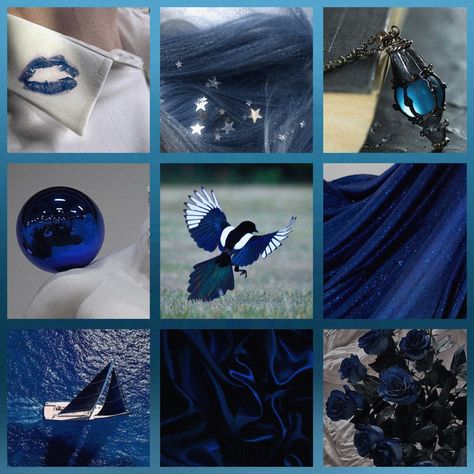 Orginal moodboard made by me^^ Bird Mood Board, Royal Moodboard, Fursona Moodboard, Tech Moodboard, Blue Aesthetic Moodboard, Space Moodboard, Blue Moodboard, Adopt Idea, Color Design Inspiration