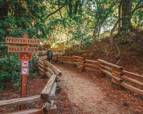 Big Sur Camping Guide: 12 Best Big Sur Campgrounds In 2024 Big Sur Camping, Los Padres National Forest, Camping Sites, Forest Cabin, Tent Site, Camping Guide, Redwood Tree, Cabin Camping, Redwood Forest