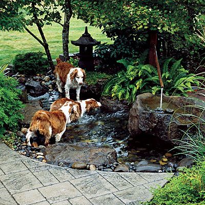 I would like something like this in my backyard for my water-loving dog. Small and shallow and secluded and relaxing. To dip my toes in, too. Dog Friendly Garden, Dog Friendly Backyard, Dog Backyard, Dog Yard, Have Inspiration, Water Features In The Garden, Ponds Backyard, Dream Backyard, Cool Ideas