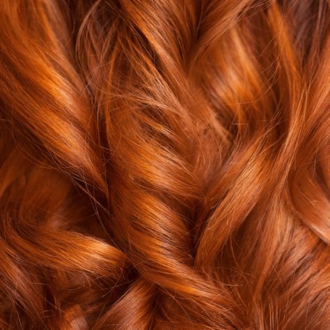 Red Brown Hair Dye, Light Copper Brown Hair, Brown Hair Dyed Red, Light Copper Brown, Permanent Red Hair Dye, Copper Hair Dye, Light Copper Hair, Copper Brown Hair Color, Red Brown Hair Color