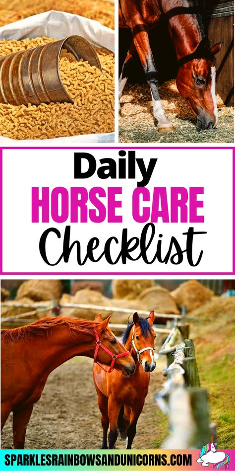 Senior Horse Care, Horseback Riding Tips, Equine Care, Healthy Horses, Horse Care Tips, Horse Tips, Horse Horse, Horse Diy, Baby Horses