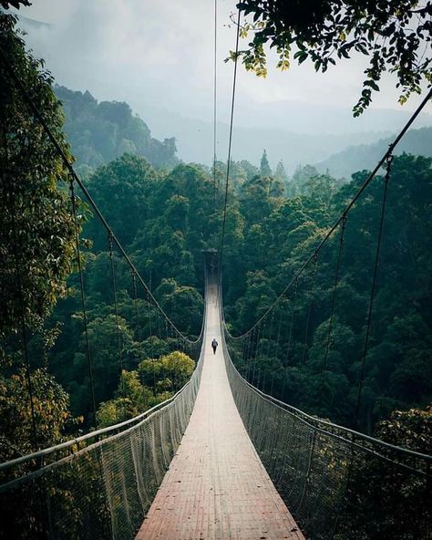 Situ Gunung Suspension Bridge, Sukabumi, West Java.   📷 hens4m Sukabumi, West Java, Suspension Bridge, Oh The Places Youll Go, Dream Destinations, Travel Destinations, Bridge, Around The Worlds, Indonesia