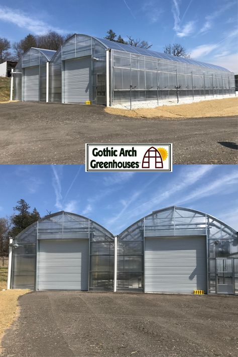 Commercial Greenhouse Design, Commercial Greenhouse Ideas, Veggie Farm, Greenhouse Build, Underground Greenhouse, Commercial Greenhouse, Indoor Farming, Gothic Arch, Regenerative Agriculture