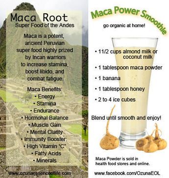 OzunaOrganicSkincare op Twitter: "How Can Maca Benefit You? Maca is a potent ancient Peruvian superfood... http://t.co/pIS0uf2NZL" Maca Recipes, Maca Smoothie, Maca Benefits, Power Smoothie, Maca Powder, Makeup Tip, Maca Root, Smoothie Shakes, Smoothie Drinks