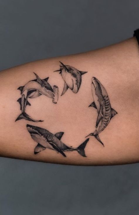 Shark Jaws Tattoo, Small Shark Tattoo, Tato Realis, Shark Tattoo Ideas, Shark Tooth Tattoo, Hammerhead Shark Tattoo, Tooth Tattoo, Tattoo Me, Shark Tattoo