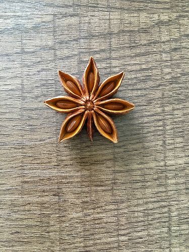 Star Anise Plant, Star Anise Drawing, Star Anise Aesthetic, Star Anise Witchcraft, Star Anise Necklace, Star Anise Illustration, Food Allergy Symptoms, Anise Seed, Herbal Plants